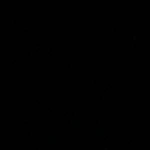 Meet your Posher, Dee